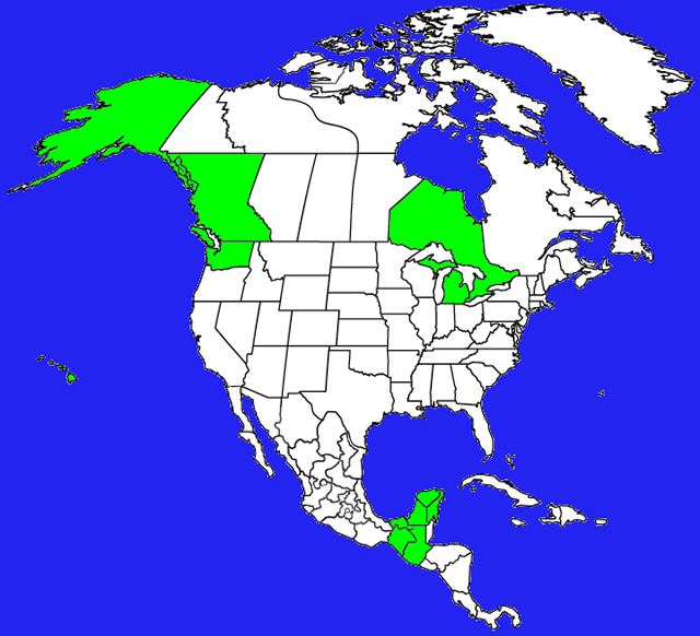 Visited American States