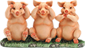 Pigs
